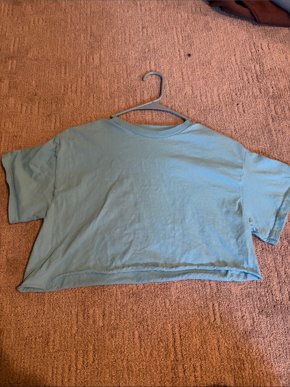 Light Blue Cropped Boxy Tee (goes to mid stomach)